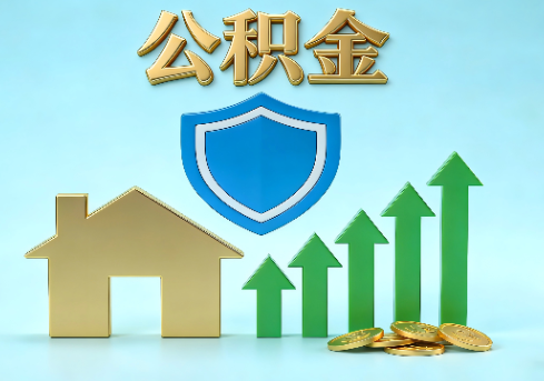 南阳当前住房公积金提取条件分类指南与政策趋势